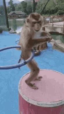Image result for L2 Library Code