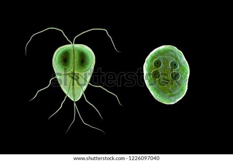 Image result for Alien Logo Transparent