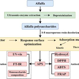 Image result for Pre-Lab Flow Chart