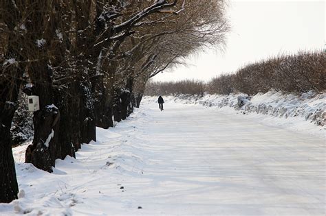 林海雪原 雪山风景 冬天的图片 风景桌面壁纸
