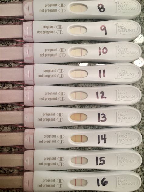 Pregnancy Test 8 Dpo Mumsnet at Alyssa Wekey blog