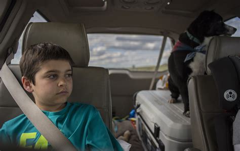 Adventures of Maximus Prime — Whitney Bradshaw