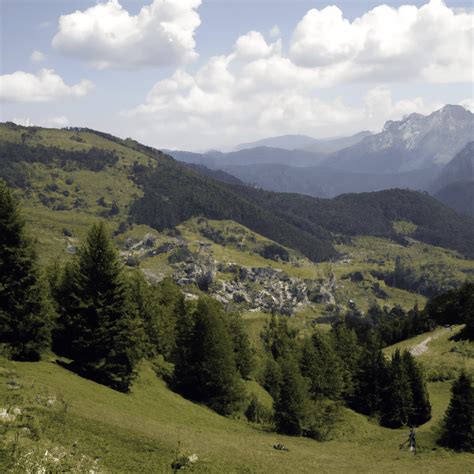 Silvia - Catholic Saints Day