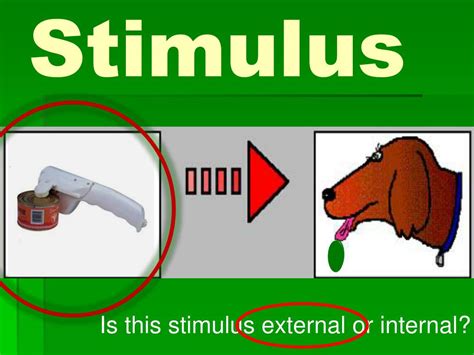 Image result for Types of Stimulus