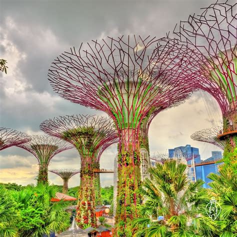 Guía para visitar los Jardines de la Bahía | Singapore botanic gardens ...