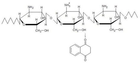 Ionically Crosslinked Chitosan Membranes Used as Drug Carriers for ...
