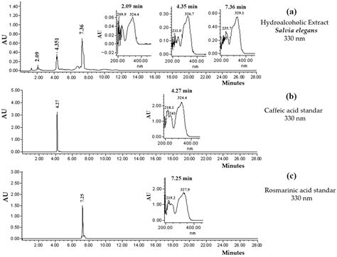 Salvia elegans Vahl Counteracting Metabolic Syndrome and Depression in ...