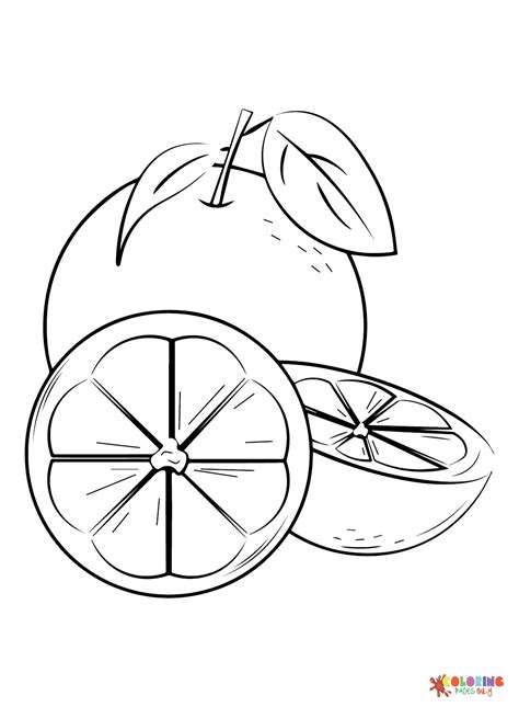 Fruits Coloring Pages Printable 的图像结果