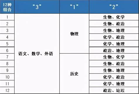 北京新高考选科统计表_北京爱智康