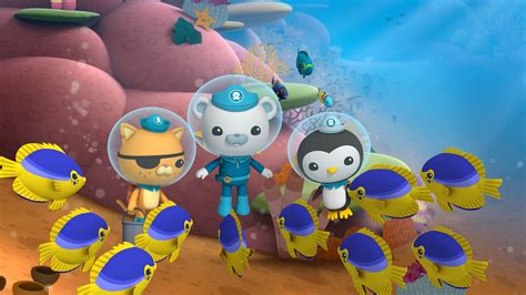 Octonauts