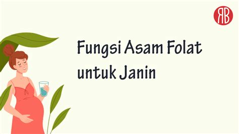 fungsi manfaat asam folat
