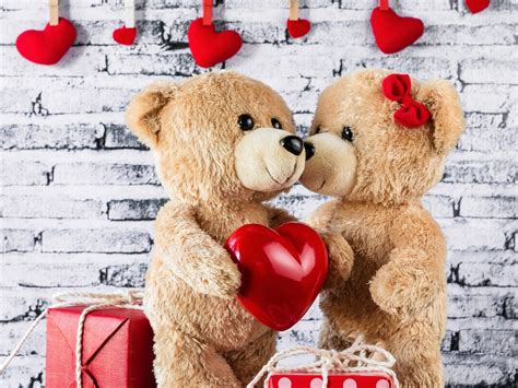 Teddy bear teddy bear day new arrivals