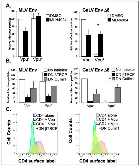 βTrCP is Required for HIV-1 Vpu Modulation of CD4, GaLV Env, and BST-2 ...