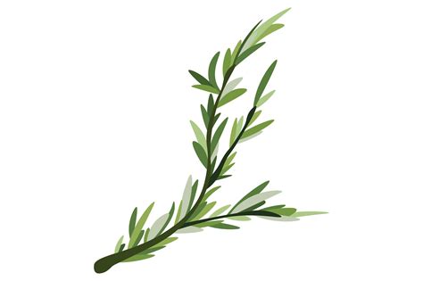 Sprig of Fresh Rosemary Plik SVG do wycinania przez Creative Fabrica ...