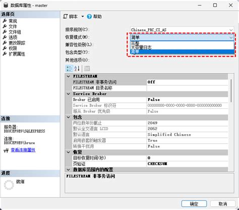 Recovery SQL Server 的图像结果