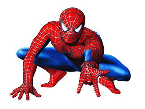 Buy Pindia Décor Single Piece Poster Spider Man Wall Sticker Online at ...