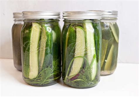 Fermented Cucumber Pickles