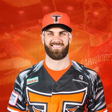 Image result for Fuzzy MLB