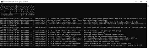 Spring JSON Log Format 的图像结果