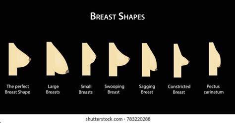 Image result for Items Python Dictionary