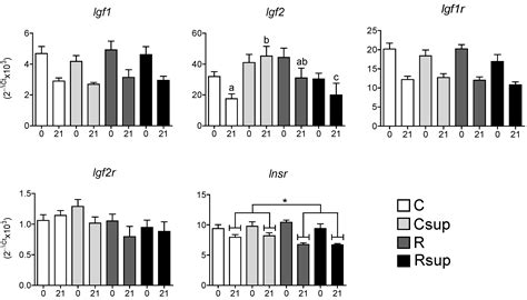 Protein Content and Methyl Donors in Maternal Diet Interact to ...