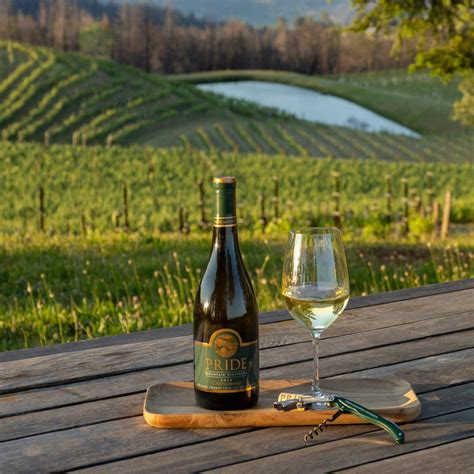 Pride Mountain Vineyards – Napa Winery – Spring Mountain - Wine Routes
