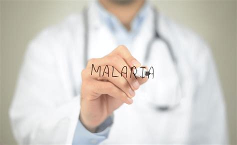 What Are The Types Of Malaria In India? - Goodknight