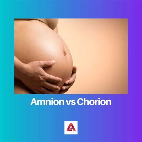 Amnion vs Chorion: Difference and Comparison
