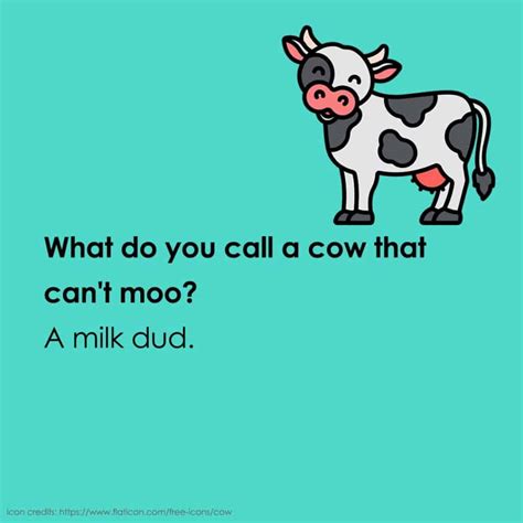 Best Kid Animal Jokes at Mike Friddle blog