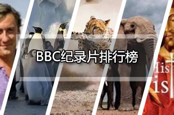 2021 bbc纪录片高清 人气热卖榜推荐 - 淘宝海外