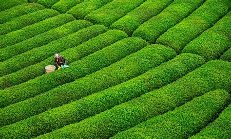 Make Your Trip to Turkey Unique - Experience A Northeastern Expedition ...