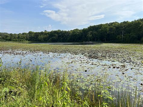Unveiling the Serenity of Scout Lake Loop: A Wisconsin Gem Off the ...