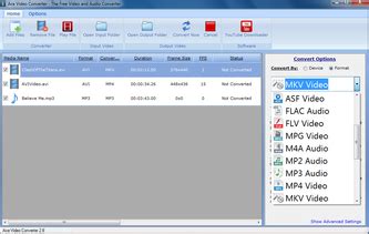 Convert Video Format Input Ace 的图像结果