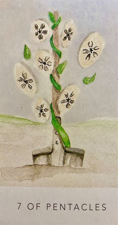 Weekly tarot predictions: Tarot card reading from February 20th 2023 to ...