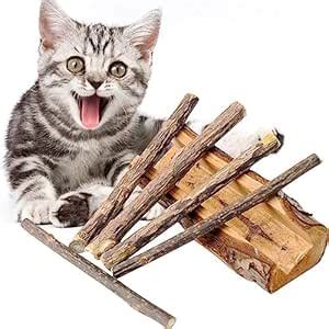 Mumoo Bear Cat Catnip Sticks Cat Chew Sticks Dental Cleaning for Cats ...