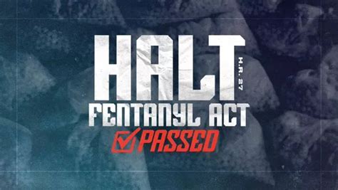 What Is HALT Fentanyl Act? House Passes Bill Amid Trump's Crackdown On ...