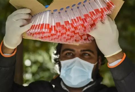 From XBB To BF.7 Know Which Variants Of Coronavirus Are Increasing In ...