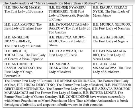 Merck Foundation CEO and Malawi First Lady Meet to discuss healthcare ...