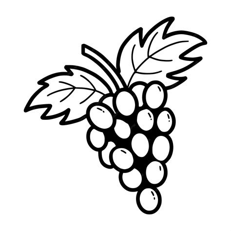 Premium Vector | Grape hand drawn black and white sketch vector doodle illustration