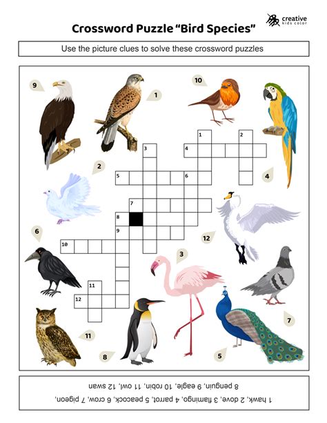 Bird Species Crossword Puzzle (Free Printable PDF)