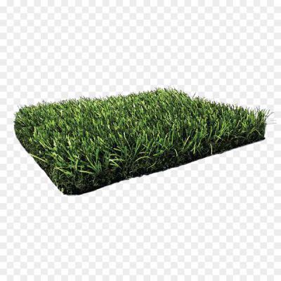 Grass Surface Transparent Free PNG - Pngsource