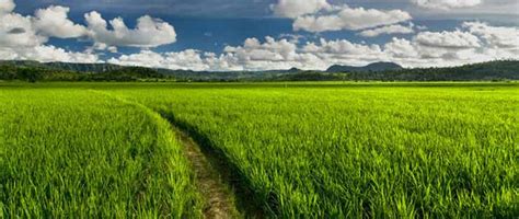 Dindigul - JungleKey.in Image