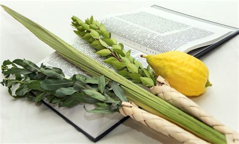 Sukkot: Lulav and Etrog | Judaica Webstore Blog