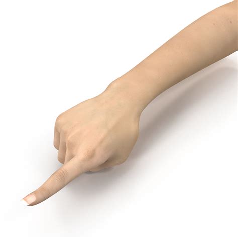 3D model Female Hand 3 Pose 5 | 3D Molier International