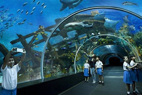 2025 S.E.A. Aquarium Admission Ticket (Sentosa Island) - with Trusted ...