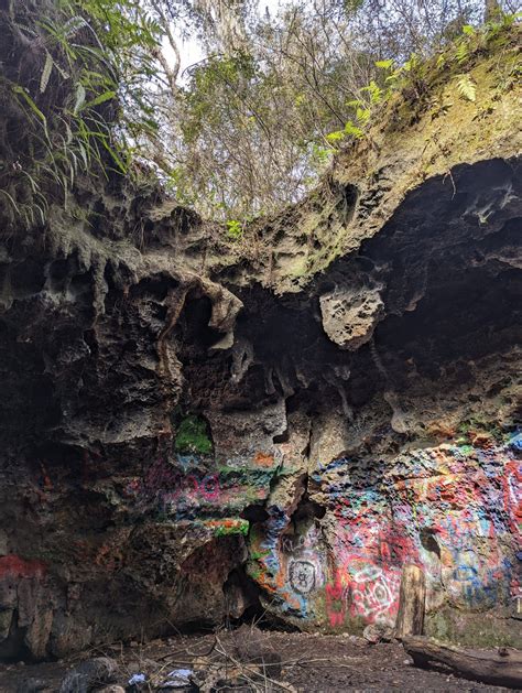 Cool Explorations: Brooksville Ridge Caves - Hernando Sun