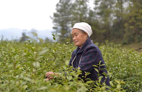 62岁大娘，靠农村3个“土方法”，摘掉多年肝病的“帽子”__凤凰网