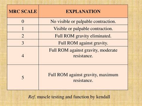 Image result for MMT Code