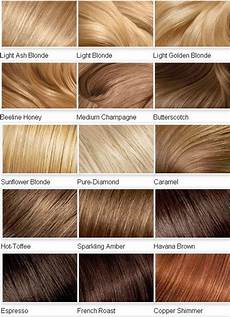 Brown Hair Names by Highlights All You Need To About Highlights Brown Hair Names