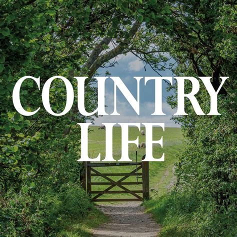 Corinne Fowler: Exploring the hidden history of the British countryside ...